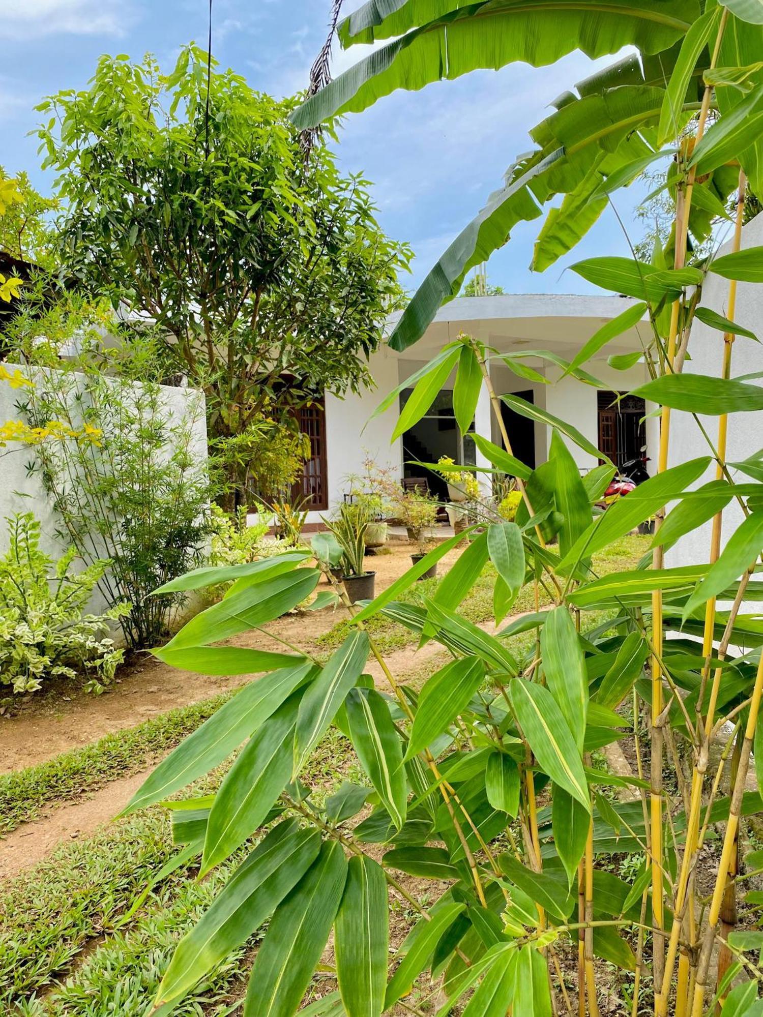 Sasmika Villa Surf And Yoga Hostel Weligama Exterior foto